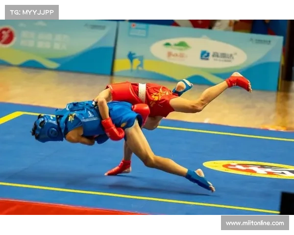 2017青少年散打赛事_2017青少年散打赛事视频