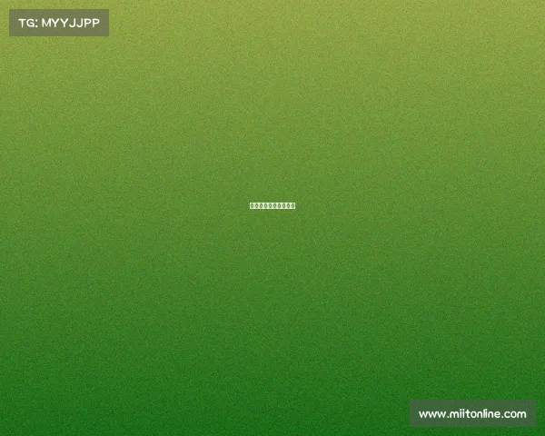 冷门体育赛事小说推荐