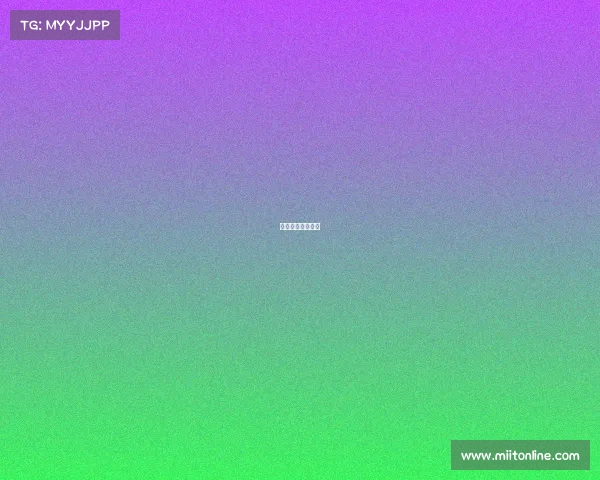 浦江赛事浦江赛车